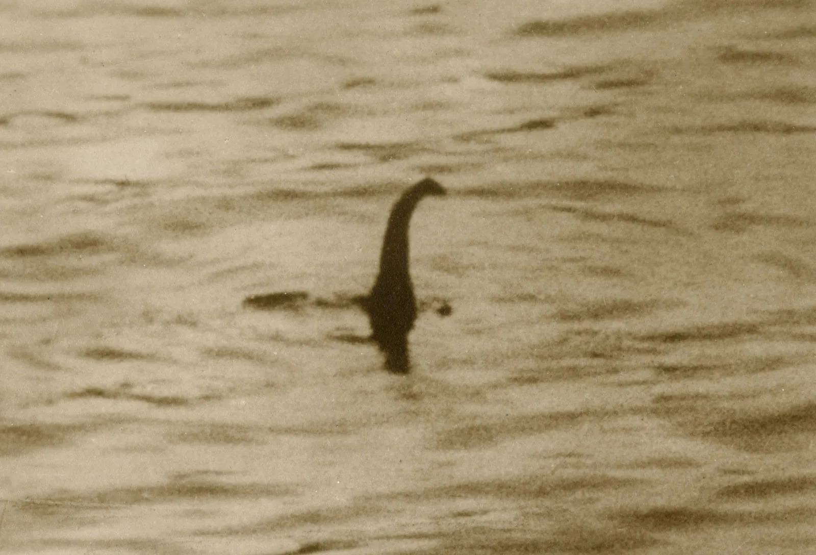 Nessie Blank Meme Template