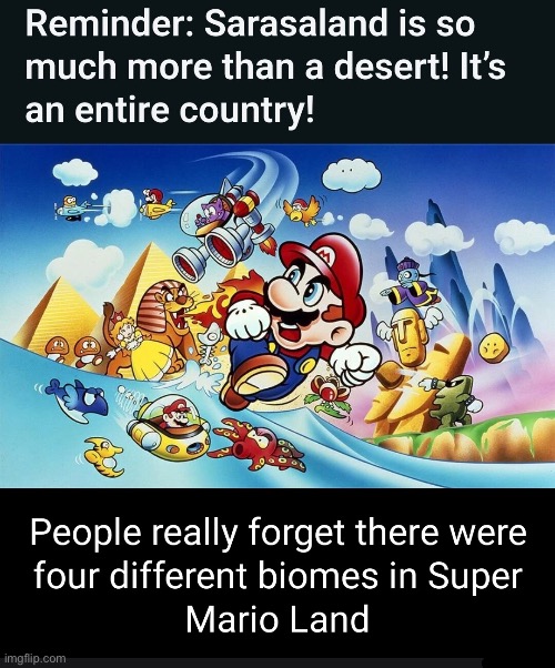 Mario land | image tagged in mario land | made w/ Imgflip meme maker