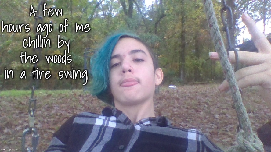 A few hours ago of me chillin by the woods in a tire swing | made w/ Imgflip meme maker