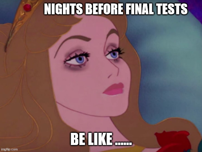 nights before final tests | NIGHTS BEFORE FINAL TESTS; BE LIKE ...... | image tagged in sleeping beauty | made w/ Imgflip meme maker