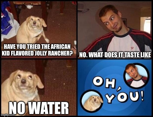 *plays 80s laugh track* | NO. WHAT DOES IT TASTE LIKE; HAVE YOU TRIED THE AFRICAN KID FLAVORED JOLLY RANCHER? NO WATER | image tagged in oh you,memes | made w/ Imgflip meme maker