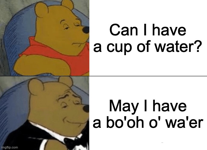Tuxedo Winnie The Pooh | Can I have a cup of water? May I have a bo'oh o' wa'er | image tagged in memes,tuxedo winnie the pooh | made w/ Imgflip meme maker