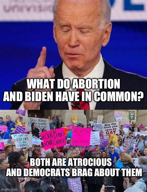 Democrats brag about having an abortion, and having Biden as President | WHAT DO ABORTION AND BIDEN HAVE IN COMMON? BOTH ARE ATROCIOUS      AND DEMOCRATS BRAG ABOUT THEM | image tagged in gifs,biden,democrats,dementia,incompetence | made w/ Imgflip meme maker