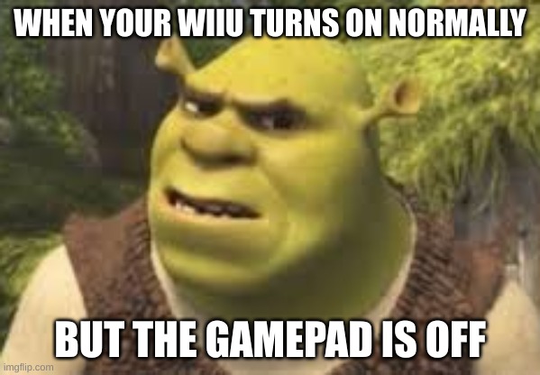 this just happened right now and its off | WHEN YOUR WIIU TURNS ON NORMALLY; BUT THE GAMEPAD IS OFF | image tagged in confused shrek | made w/ Imgflip meme maker