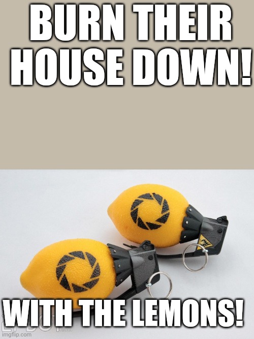 Portal 2 lemon grenades | WITH THE LEMONS! BURN THEIR HOUSE DOWN! | image tagged in portal 2 lemon grenades | made w/ Imgflip meme maker