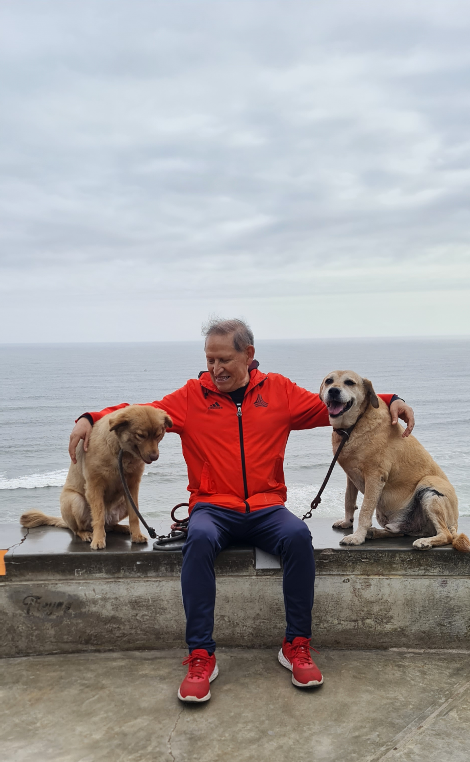 yo y mis perros Blank Meme Template