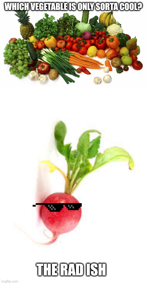 WHICH VEGETABLE IS ONLY SORTA COOL? THE RAD ISH | image tagged in vegetables,radish | made w/ Imgflip meme maker
