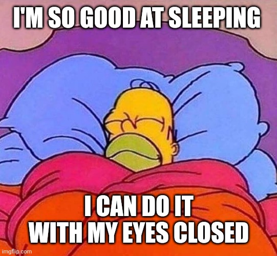 Homer Simpson sleeping peacefully | I'M SO GOOD AT SLEEPING; I CAN DO IT WITH MY EYES CLOSED | image tagged in homer simpson sleeping peacefully | made w/ Imgflip meme maker