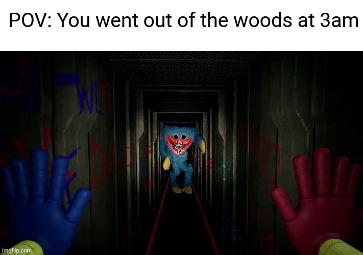 Run for your life | POV: You went out of the woods at 3am | image tagged in first time playing poppy playtime,memes,3am,relatable | made w/ Imgflip meme maker