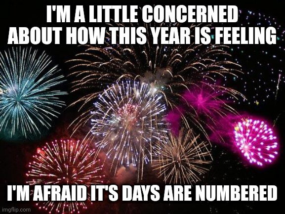 New Years  | I'M A LITTLE CONCERNED ABOUT HOW THIS YEAR IS FEELING; I'M AFRAID IT'S DAYS ARE NUMBERED | image tagged in new years | made w/ Imgflip meme maker