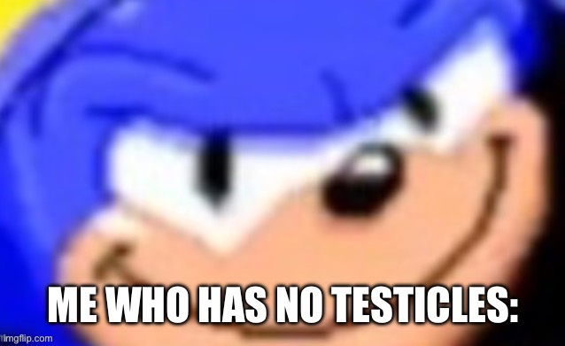 Sonic smile | ME WHO HAS NO TESTICLES: | image tagged in sonic smile | made w/ Imgflip meme maker