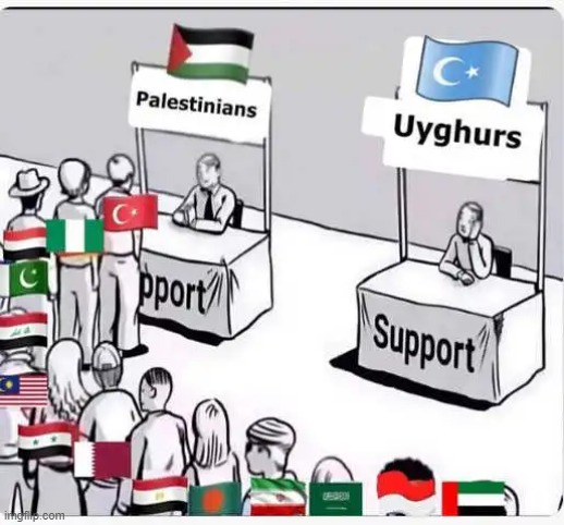 Where is the support for the Uyghurs | image tagged in palestine,political meme | made w/ Imgflip meme maker