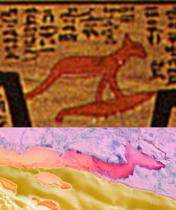 Chetumal & Costa Maya in Egyptian Underworld map Blank Meme Template
