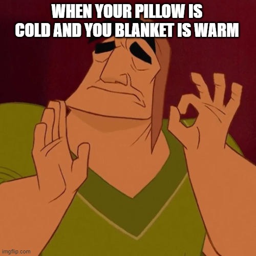 When X just right | WHEN YOUR PILLOW IS COLD AND YOU BLANKET IS WARM | image tagged in when x just right | made w/ Imgflip meme maker