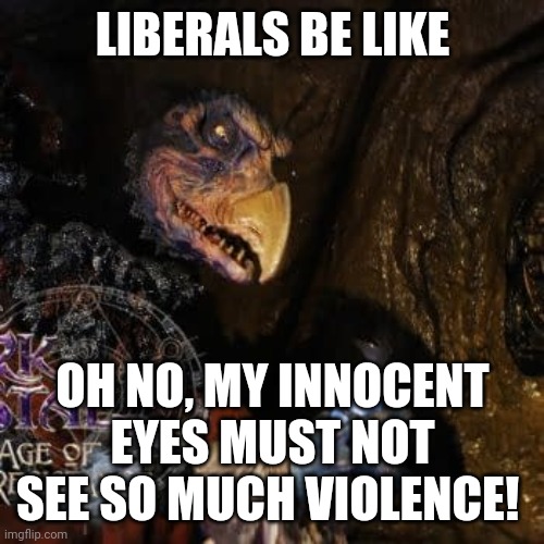 LIBERALS BE LIKE OH NO, MY INNOCENT EYES MUST NOT SEE SO MUCH VIOLENCE! | made w/ Imgflip meme maker