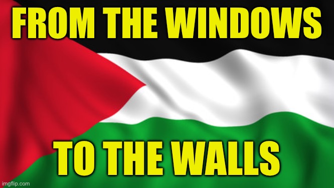 Palestine Flag | FROM THE WINDOWS; TO THE WALLS | image tagged in palestine flag | made w/ Imgflip meme maker