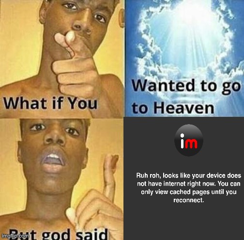 NOOOOOOO | image tagged in what if you wanted to go to heaven | made w/ Imgflip meme maker