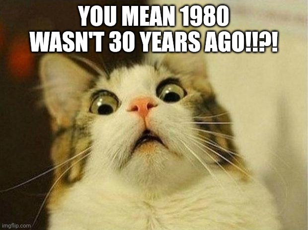 Time keeps on slipping | YOU MEAN 1980 WASN'T 30 YEARS AGO!!?! | image tagged in memes,scared cat | made w/ Imgflip meme maker