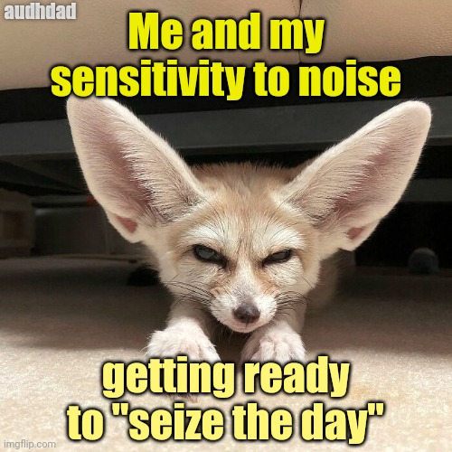 "Seize the day" ???? | audhdad; Me and my sensitivity to noise; getting ready to "seize the day" | image tagged in big ears grumpy fox,memes,noise,sensory,audhd,autism | made w/ Imgflip meme maker