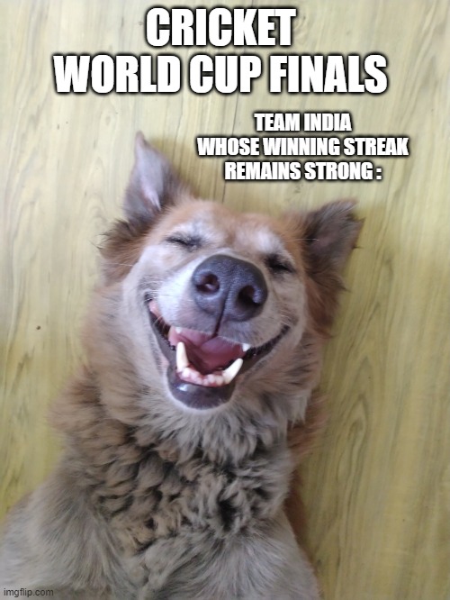 Laughing Dawg | CRICKET WORLD CUP FINALS; TEAM INDIA WHOSE WINNING STREAK REMAINS STRONG : | image tagged in laughing dawg | made w/ Imgflip meme maker