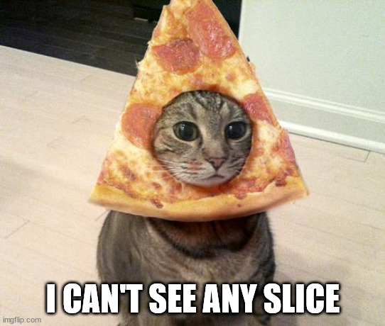 pizza cat | I CAN'T SEE ANY SLICE | image tagged in pizza cat | made w/ Imgflip meme maker