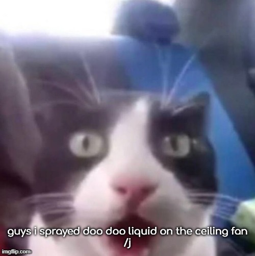 /j | guys i sprayed doo doo liquid on the ceiling fan
/j | image tagged in cat shocked | made w/ Imgflip meme maker