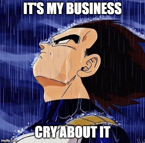 Vegeta in the rain | IT'S MY BUSINESS CRY ABOUT IT | image tagged in vegeta in the rain | made w/ Imgflip meme maker