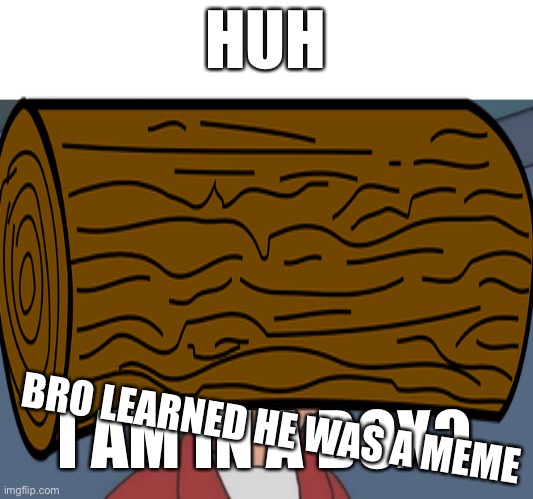 Futurama Fry | HUH; BRO LEARNED HE WAS A MEME; I AM IN A BOX? | image tagged in memes,futurama fry | made w/ Imgflip meme maker