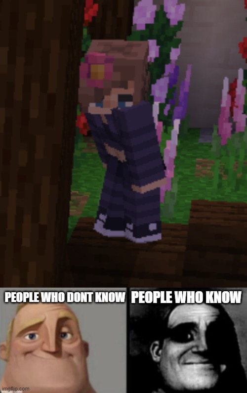 dont look it up | PEOPLE WHO KNOW; PEOPLE WHO DONT KNOW | image tagged in people who know and dont know,jenny,minecraft | made w/ Imgflip meme maker