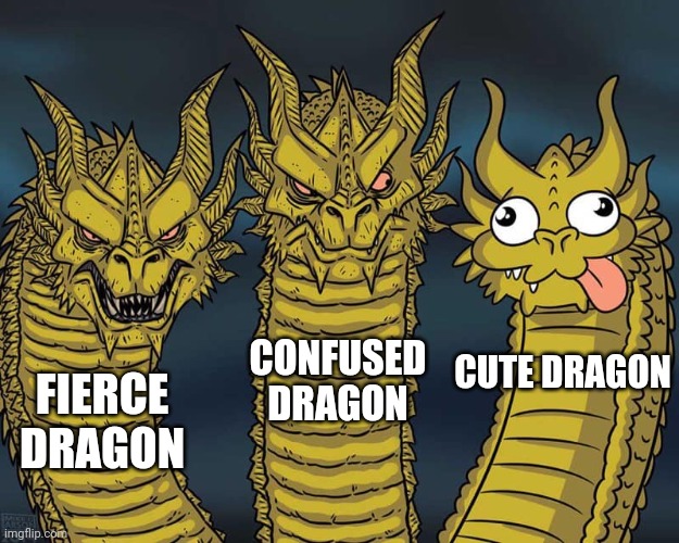 Another Literal Meme!! | CONFUSED DRAGON; CUTE DRAGON; FIERCE DRAGON | image tagged in three dragons | made w/ Imgflip meme maker
