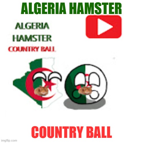 woooow part 2 | ALGERIA HAMSTER; COUNTRY BALL | image tagged in algeria hamster country ball | made w/ Imgflip meme maker