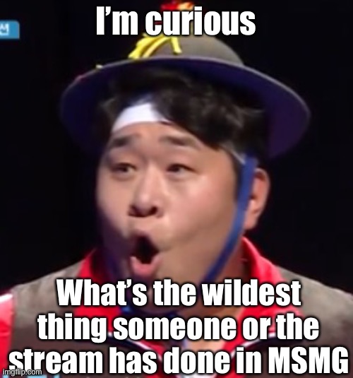 If you can recall | I’m curious; What’s the wildest thing someone or the stream has done in MSMG | image tagged in seyoon | made w/ Imgflip meme maker