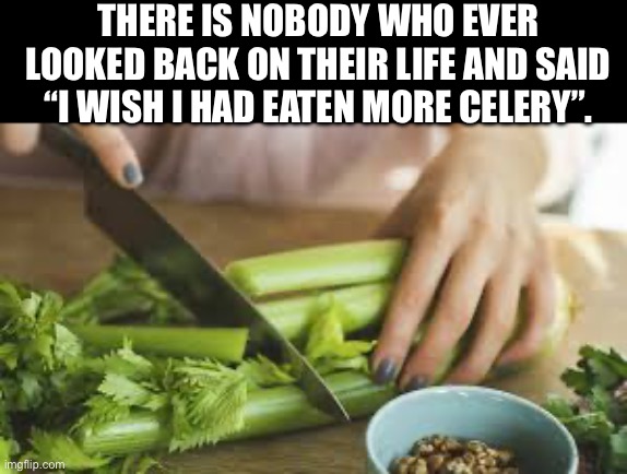 Celery is 100% not pizza | THERE IS NOBODY WHO EVER LOOKED BACK ON THEIR LIFE AND SAID “I WISH I HAD EATEN MORE CELERY”. | image tagged in dieting | made w/ Imgflip meme maker