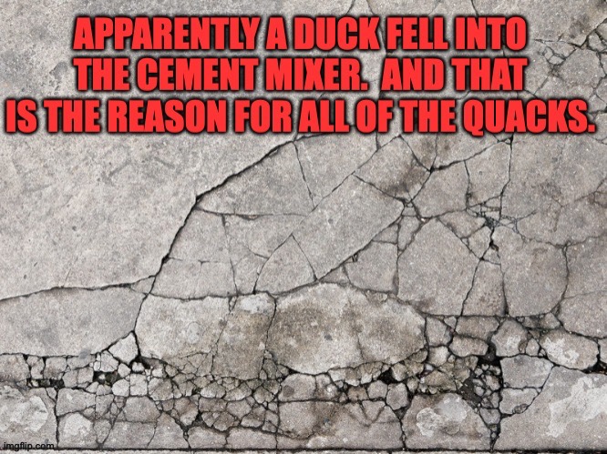 Well, it quacked me up | image tagged in bad pun | made w/ Imgflip meme maker