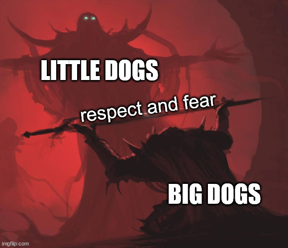 this is how it works | LITTLE DOGS; respect and fear; BIG DOGS | image tagged in man giving sword to larger man | made w/ Imgflip meme maker