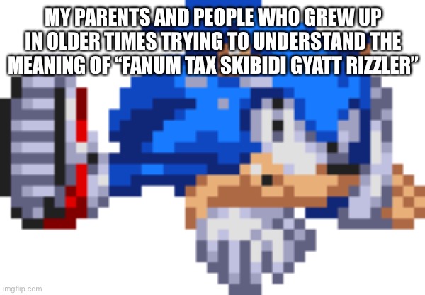 Me and my dad were talking about how the new generation sucks earlier | MY PARENTS AND PEOPLE WHO GREW UP IN OLDER TIMES TRYING TO UNDERSTAND THE MEANING OF “FANUM TAX SKIBIDI GYATT RIZZLER” | image tagged in sonic the hedgehog,2023 sucks,society nowadays | made w/ Imgflip meme maker