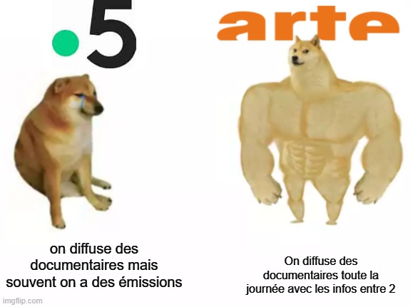 trop vrai | On diffuse des documentaires toute la journée avec les infos entre 2; on diffuse des documentaires mais souvent on a des émissions | image tagged in buff doge vs cheems reversed | made w/ Imgflip meme maker