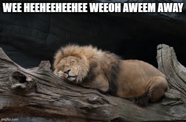 You Know the Song | WEE HEEHEEHEEHEE WEEOH AWEEM AWAY | image tagged in awesome music | made w/ Imgflip meme maker