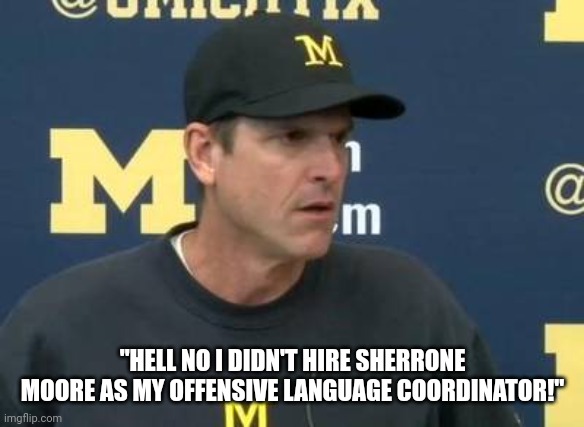 Confused Jim Harbaugh | "HELL NO I DIDN'T HIRE SHERRONE MOORE AS MY OFFENSIVE LANGUAGE COORDINATOR!" | image tagged in confused jim harbaugh,offensive,language,coach | made w/ Imgflip meme maker