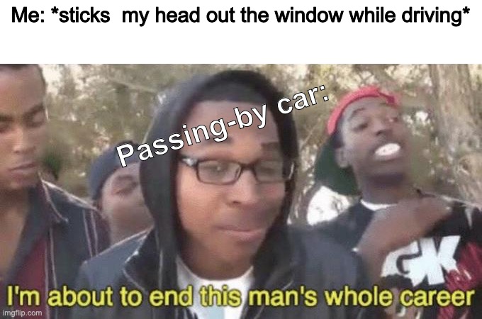 Heads....off!!! | Me: *sticks  my head out the window while driving*; Passing-by car: | image tagged in i m about to end this man s whole career,oops,dark humor,jokes,memes,funny | made w/ Imgflip meme maker