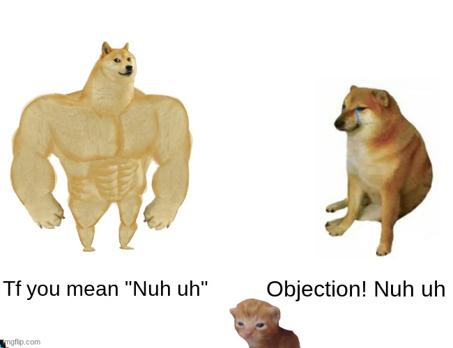 Buff Doge vs. Cheems | Tf you mean "Nuh uh"; Objection! Nuh uh | image tagged in memes,buff doge vs cheems | made w/ Imgflip meme maker