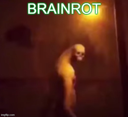 Your IP Address Is On The Internet | BRAINROT | image tagged in your ip address is on the internet | made w/ Imgflip meme maker
