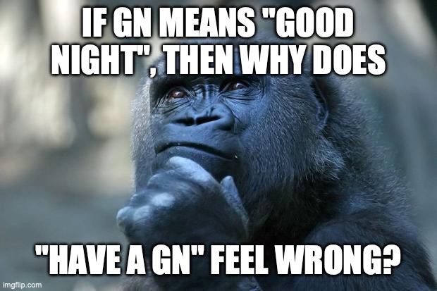 I wonder... | IF GN MEANS "GOOD NIGHT", THEN WHY DOES; "HAVE A GN" FEEL WRONG? | image tagged in urinal,meat,grinder,image | made w/ Imgflip meme maker