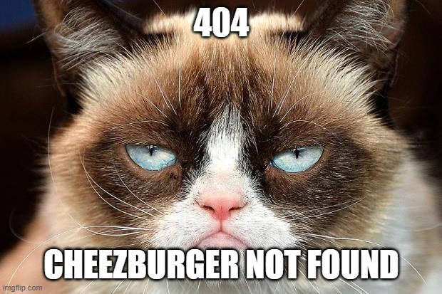 Grumpy Cat Not Amused Meme | 404 CHEEZBURGER NOT FOUND | image tagged in memes,grumpy cat not amused,grumpy cat | made w/ Imgflip meme maker