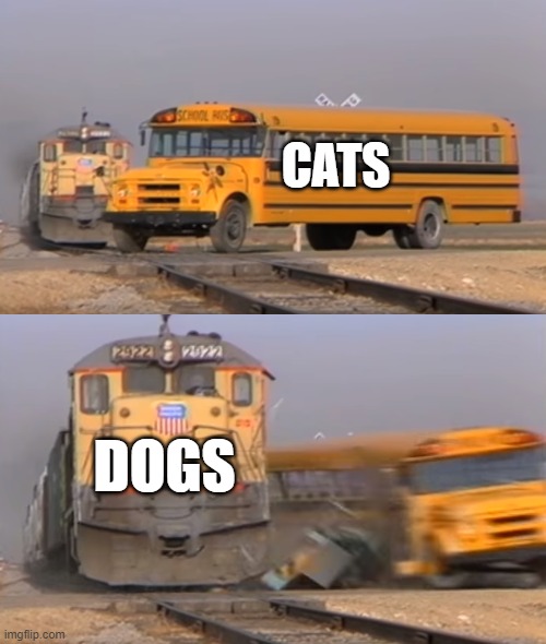 A train hitting a school bus | CATS DOGS | image tagged in a train hitting a school bus | made w/ Imgflip meme maker