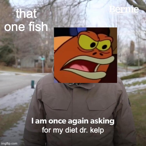 spung bob | that one fish; for my diet dr. kelp | image tagged in memes,bernie i am once again asking for your support | made w/ Imgflip meme maker