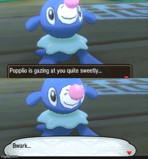Bwark | image tagged in bwark | made w/ Imgflip meme maker
