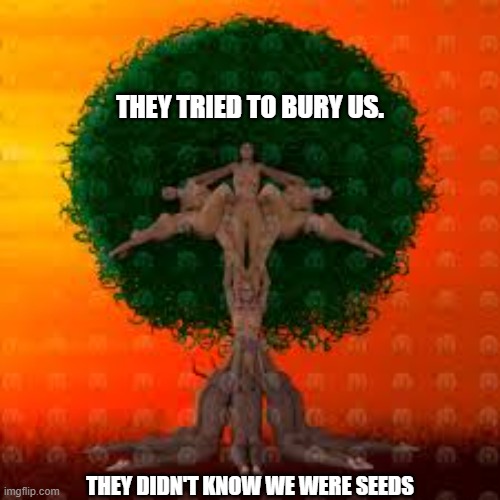African Americans Black American | THEY TRIED TO BURY US. THEY DIDN'T KNOW WE WERE SEEDS | image tagged in black american,black women,black twitter,african american,african kids dancing | made w/ Imgflip meme maker