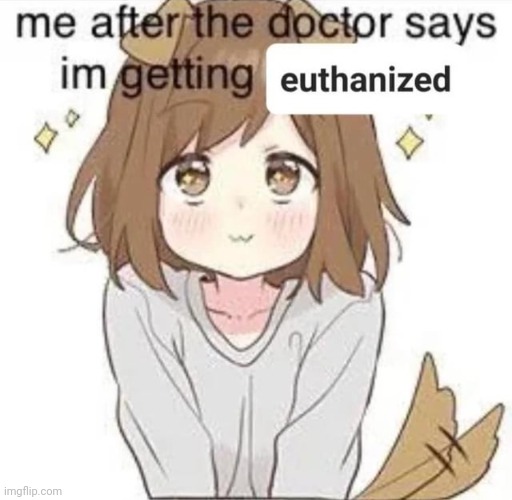 Me after the doctor says I'm getting euthanized | image tagged in me after the doctor says i'm getting euthanized | made w/ Imgflip meme maker