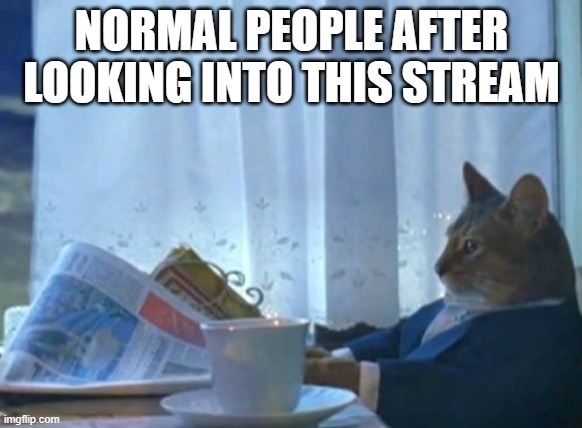 I Should Buy A Boat Cat | NORMAL PEOPLE AFTER LOOKING INTO THIS STREAM | image tagged in memes,i should buy a boat cat | made w/ Imgflip meme maker